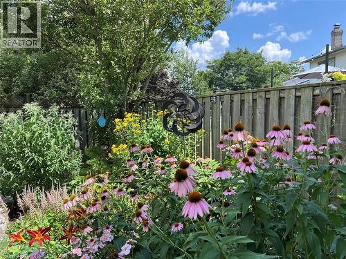 31 Cedar Crest Street, Kitchener, ON - Outdoor