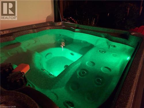 31 Cedar Crest Street, Kitchener, ON -  With Backyard