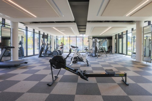 Exercise Room - 503-5175 Rue Mackenzie, Montréal (Côte-Des-Neiges/Notre-Dame-De-Grâce), QC - Indoor Photo Showing Gym Room