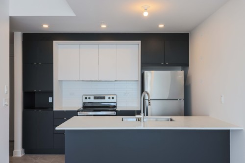 Kitchen - 503-5175 Rue Mackenzie, Montréal (Côte-Des-Neiges/Notre-Dame-De-Grâce), QC - Indoor Photo Showing Kitchen With Double Sink With Upgraded Kitchen