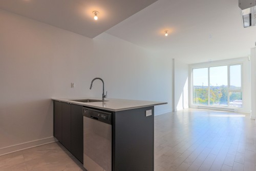 Kitchen - 503-5175 Rue Mackenzie, Montréal (Côte-Des-Neiges/Notre-Dame-De-Grâce), QC - Indoor Photo Showing Kitchen