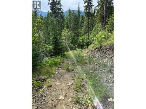 4018 Fumot Place, Bonnington, BC 