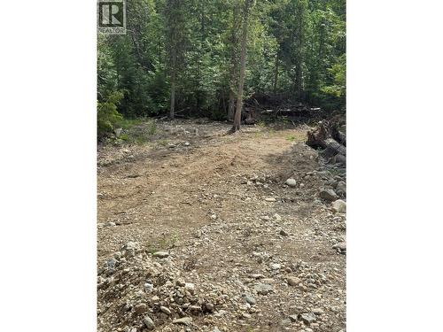 4018 Fumot Place, Bonnington, BC 