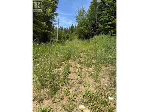 4018 Fumot Place, Bonnington, BC 