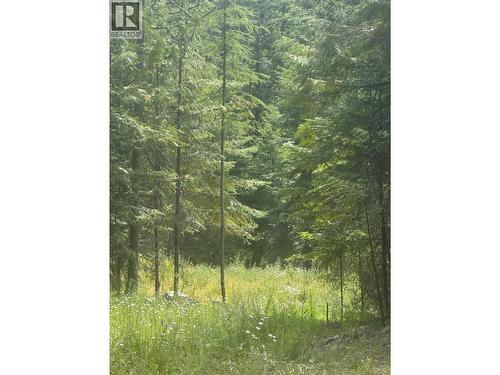 4018 Fumot Place, Bonnington, BC 