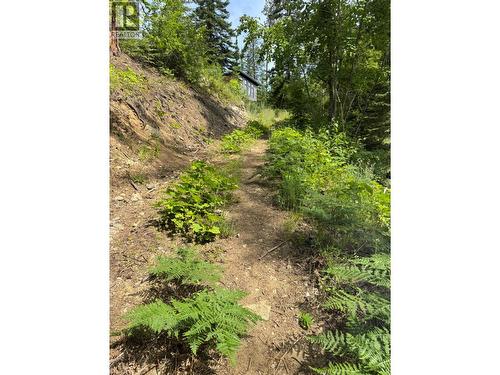 4018 Fumot Place, Bonnington, BC 