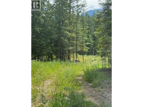 4018 Fumot Place, Bonnington, BC 