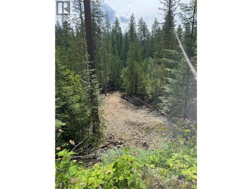 4018 Fumot Place, Bonnington, BC 