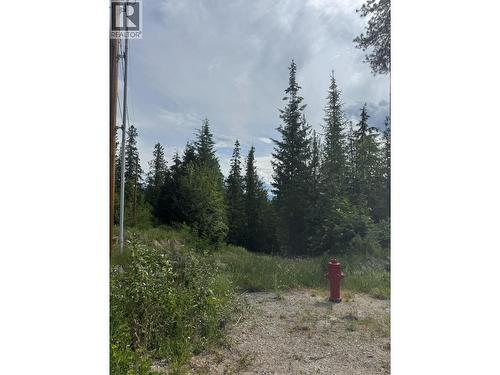 4018 Fumot Place, Bonnington, BC 