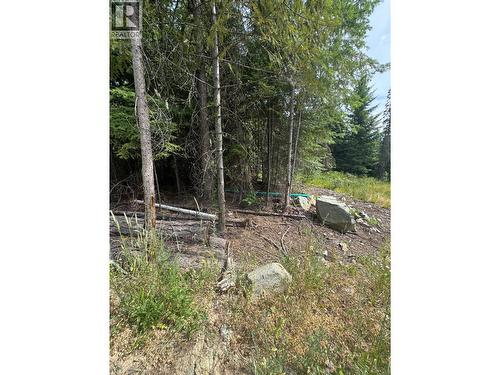 4018 Fumot Place, Bonnington, BC 