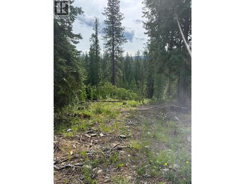 4018 Fumot Place, Bonnington, BC 