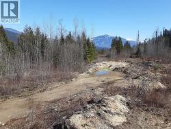 4335 Sederberg Road  Malakwa, BC V0E 2J0