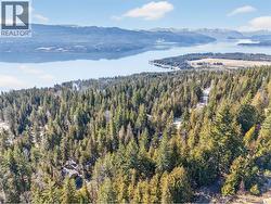 151 VICKERS Trail Lot# 151 Anglemont, BC V0E 1M8