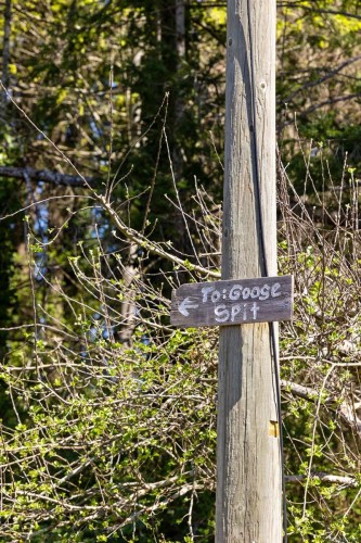 1304 Midden Rd, Comox, BC 