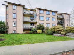 202-3258 Alder St  Saanich, BC V8X 1P2