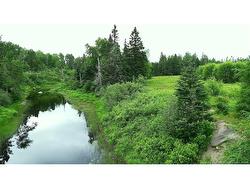 977 Route 770  Bonny River, NB E5C 1C8