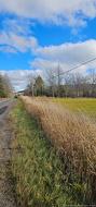 LOT HWY 850  Kiersteadville, NB E5T 3L1
