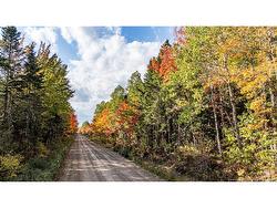 1930 Village des Cormier RD  Saint-Paul, NB E4T 3H3