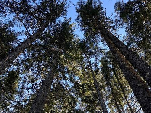 481 Conquerall Road, Conquerall Mills, NS 