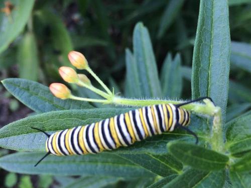 481 Conquerall Road, Conquerall Mills, NS 