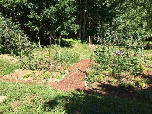 481 Conquerall Road, Conquerall Mills, NS 