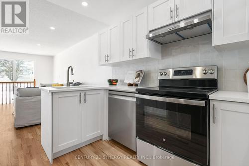 7 Weaver Crescent, Ottawa, ON - Indoor Photo Showing Kitchen With Upgraded Kitchen
