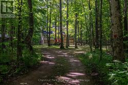 89 TAMMYS COVE ROAD Northern Bruce Peninsula, ON N0H 1Z0