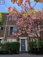 LOWER - 27 PEAR TREE MEWS  Toronto, ON M6P 4H2