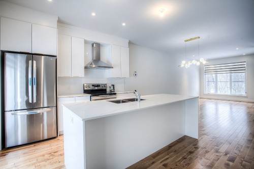 Kitchen - 213 Av. Mason, Pointe-Claire, QC - Indoor Photo Showing Kitchen With Double Sink With Upgraded Kitchen