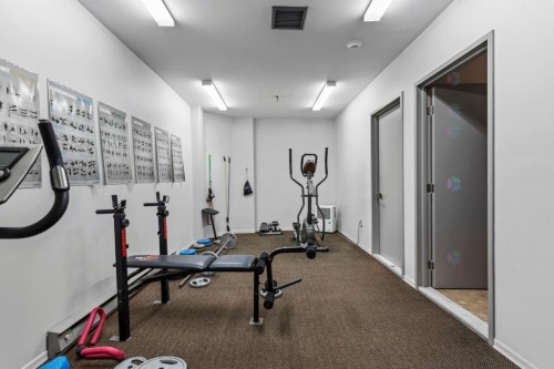 Autre - 102-1675 Boul. Du Souvenir, Laval (Laval-Des-Rapides), QC - Indoor Photo Showing Gym Room