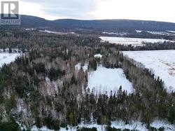 97 C Main Street  Pasadena, NL A0L 1K0