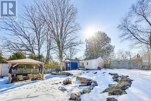 Backyard - 26 Davidson Street, Cambridge, ON - Outdoor