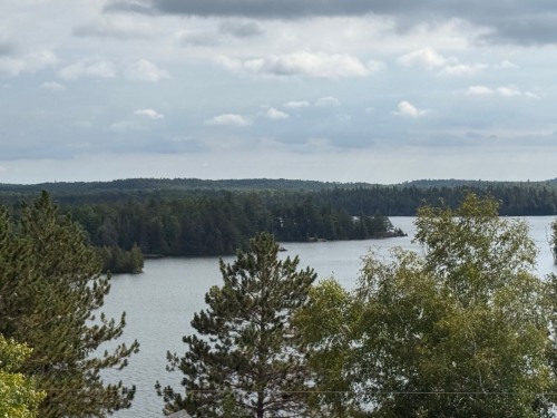 Terre/Terrain - Ch. Du Lac-Cameron, Saint-Eugène-De-Guigues, QC 