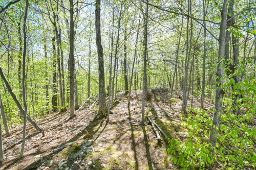 Cour - 1751 Rue Philippe, Prévost, QC - Outdoor With View