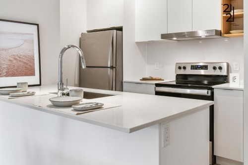 Kitchen - 411-2121 Av. Papineau, Montréal (Ville-Marie), QC - Indoor Photo Showing Kitchen