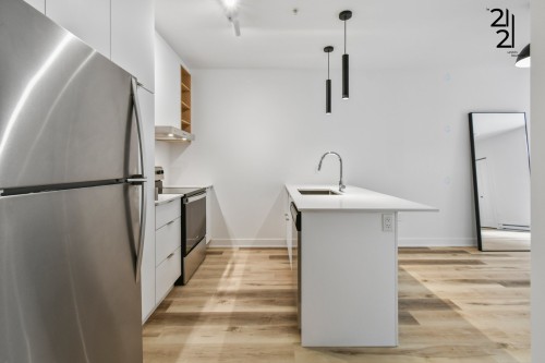 Kitchen - 411-2121 Av. Papineau, Montréal (Ville-Marie), QC - Indoor Photo Showing Kitchen