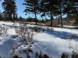 Hirtles Beach Road  Kingsburg, NS B0J 2X0