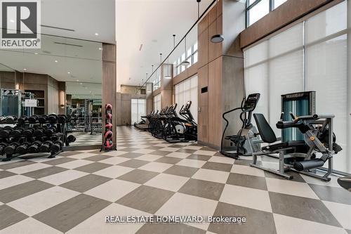 2039 - 20 Inn On The Park Drive, Toronto, ON - Indoor Photo Showing Gym Room