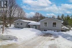 208 PELLISIER STREET  Grey Highlands, ON N0C 1E0