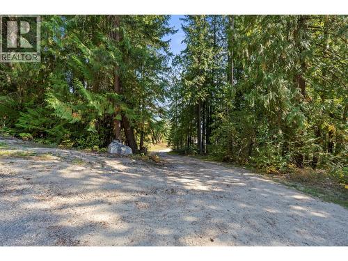 2510 Samuelson Road, Sicamous, BC - Outdoor
