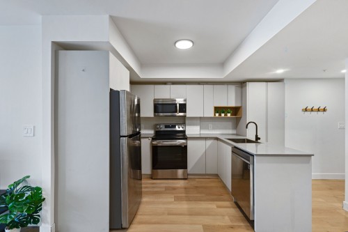 Kitchen - 201-2025 Rue Peel, Montréal (Ville-Marie), QC - Indoor Photo Showing Kitchen