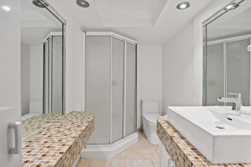 Bathroom - 441 Av. Portland, Mont-Royal, QC - Indoor Photo Showing Bathroom