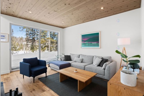 Salon - 25 Ch. Des Perséides, Sainte-Béatrix, QC - Indoor Photo Showing Living Room