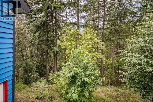 6051 Pine Ridge Road, Kaslo, BC - Outdoor