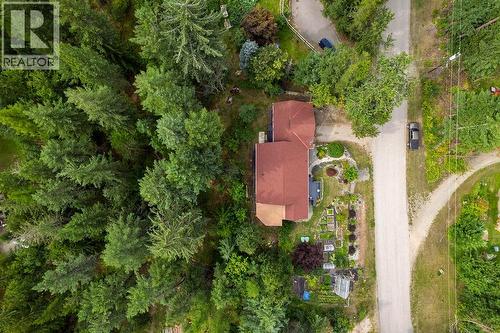 6051 Pine Ridge Road, Kaslo, BC - Outdoor With View