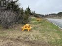 30-40 Main Street, Twillingate, NL 