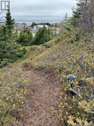 30-40 Main Street, Twillingate, NL 