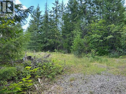 245 Rainbow Ridge Road, Procter, BC - Outdoor