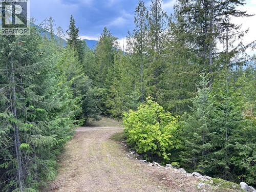 245 Rainbow Ridge Road, Procter, BC - Outdoor