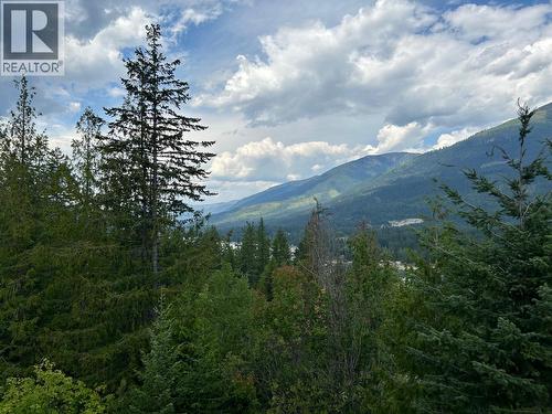 245 Rainbow Ridge Road, Procter, BC - Outdoor With View